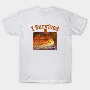 I Survived The Subway, Zion T-Shirt